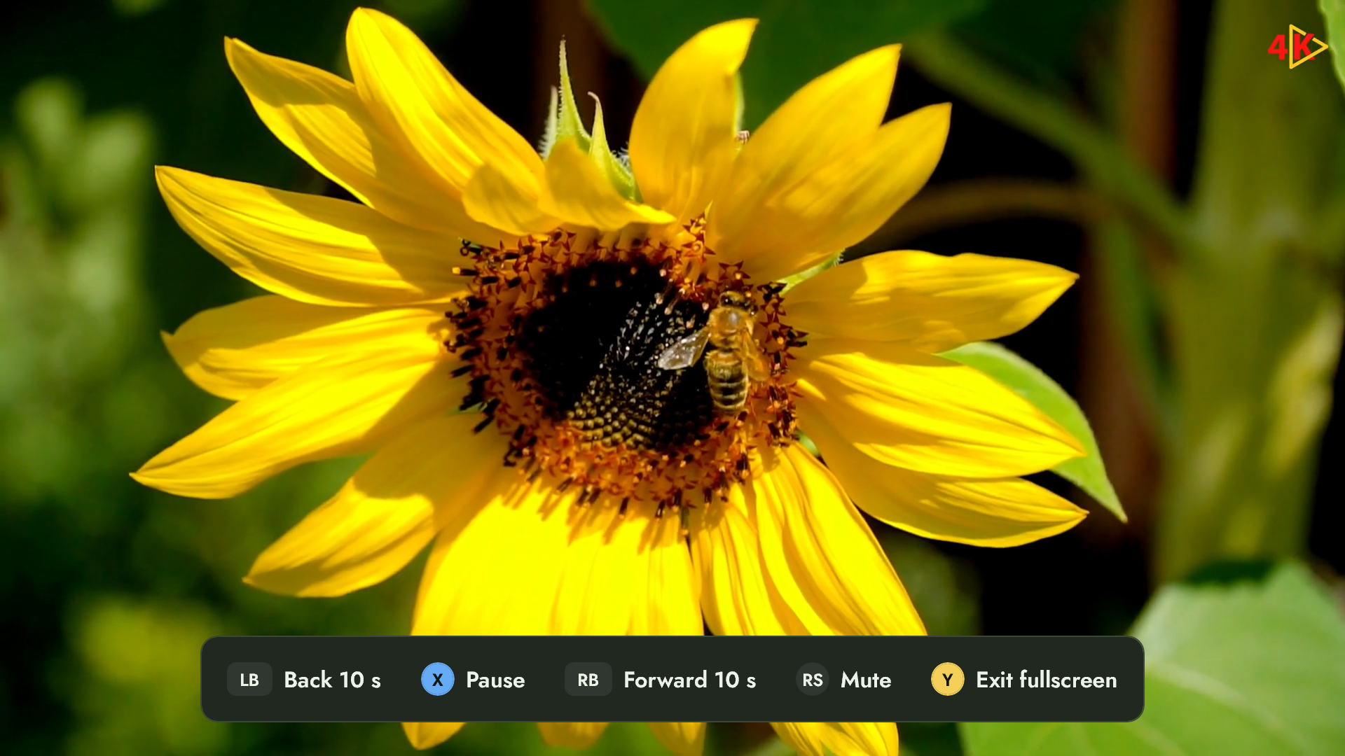 Fullscreen video in AirSofa with Xbox controls for seeking, pause, mute and fullscreen.